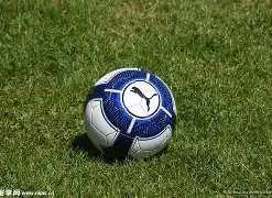 唐斯表示,赛事助力我,们达到季后,ebpay,ebpay钱包,ebpay钱包官网下载