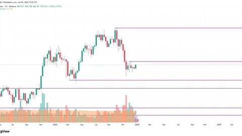 《强化网络娱乐明星信息管理措施的通知发布》